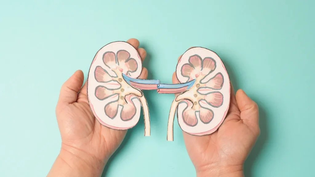 13 Essential Superfoods That Will Supercharge Your Kidney Health This Winter