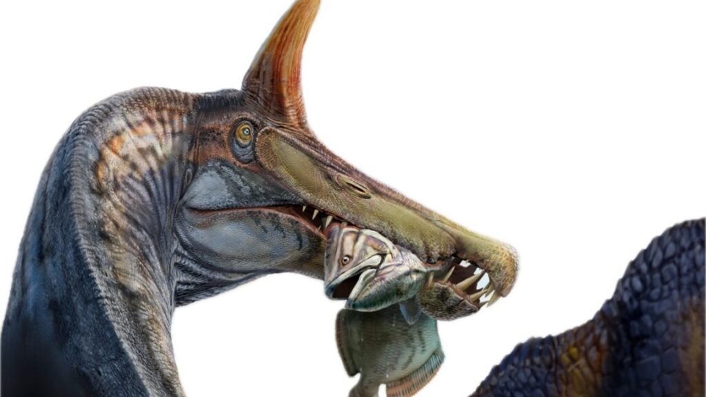 Artist's conception of the new Spinosaurus species, showing long, narrow jaws and spike on the top of its head.