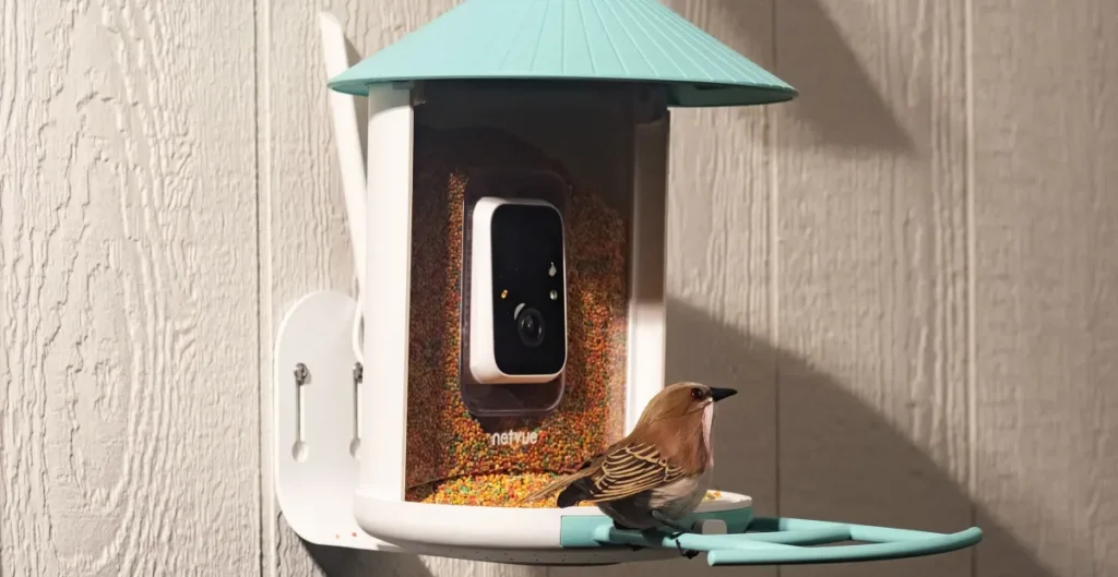 Amazon’s Large Spring Sale is a superb time to get a flowery, AI-powered fowl feeder Amazon’s Big Spring Sale is a great time to get a fancy, AI-powered bird feeder