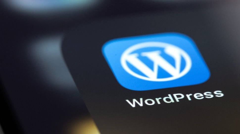 Round 500,000 WordPress web sites might be in danger from essential plugin safety flaw — here is what we all know WordPress logo on mobile