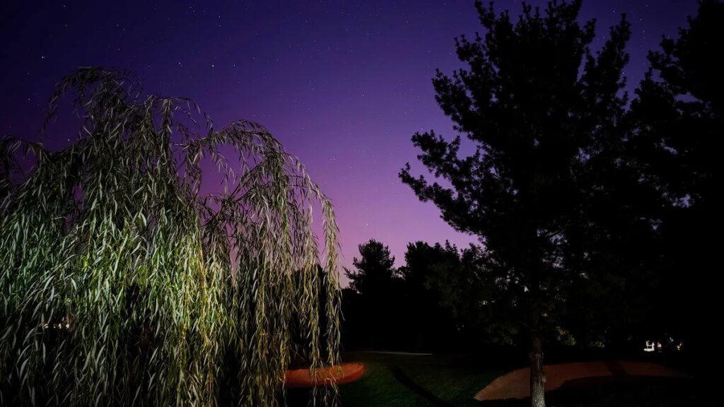 Aurora Borealis Watch: 15 States Might Catch Glimpse of Northern Lights This Week Purple aurora glow with trees in the foreground.