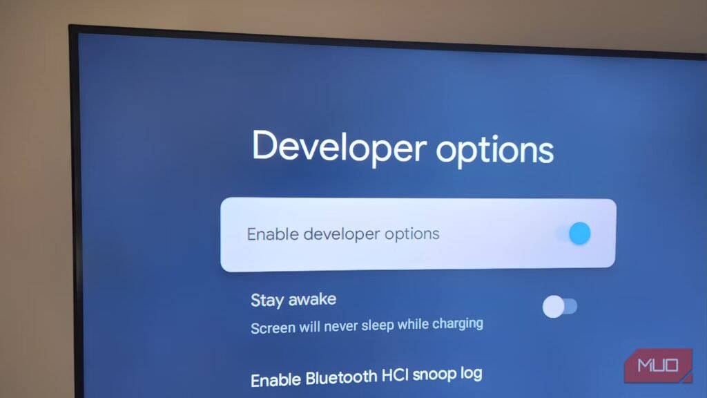 I unlocked Developer Mode on my Android TV and made it noticeably more responsive