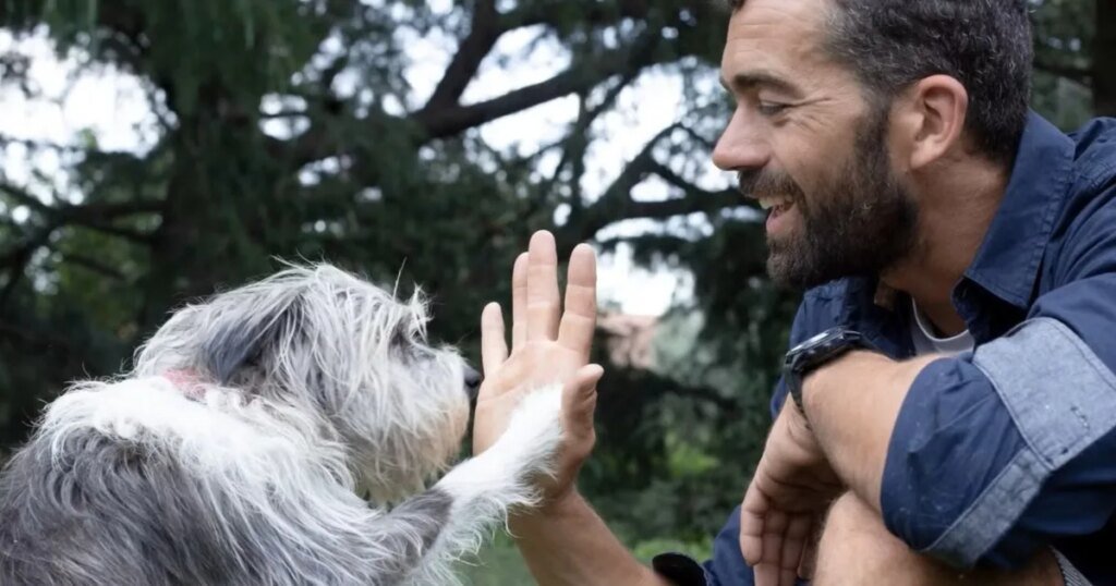 In a sea of slop and dangers, AI helps distraught people discover their misplaced pets In a sea of slop and risks, AI is helping distraught humans find their lost pets