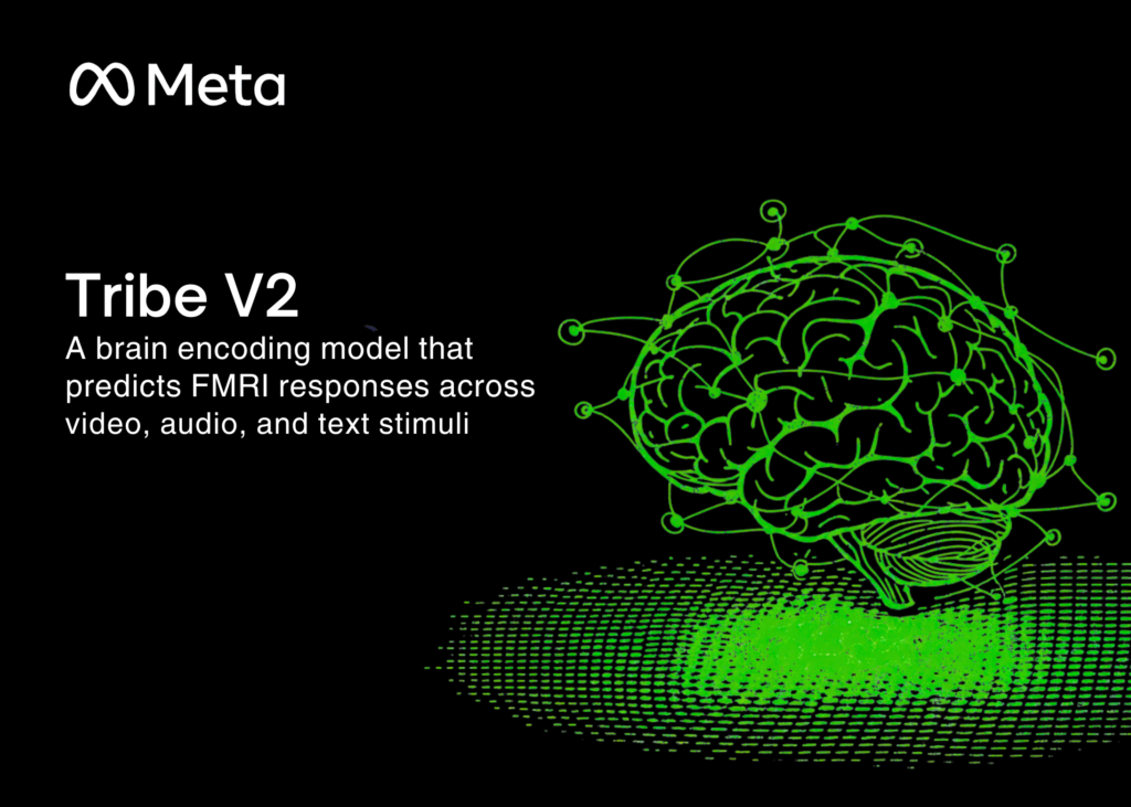 Meta Releases TRIBE v2: A Mind Encoding Mannequin That Predicts fMRI Responses Throughout Video, Audio, and Textual content Stimuli Meta Releases TRIBE v2: A Brain Encoding Model That Predicts fMRI Responses Across Video, Audio, and Text Stimuli