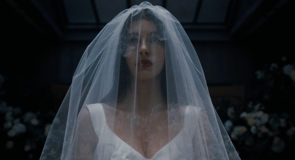 One thing Very Dangerous is Going to Occur evaluation — this binge-worthy Netflix horror collection takes wedding ceremony jitters to the acute Something Very Bad is Going to Happen review — this binge-worthy Netflix horror series takes wedding jitters to the extreme