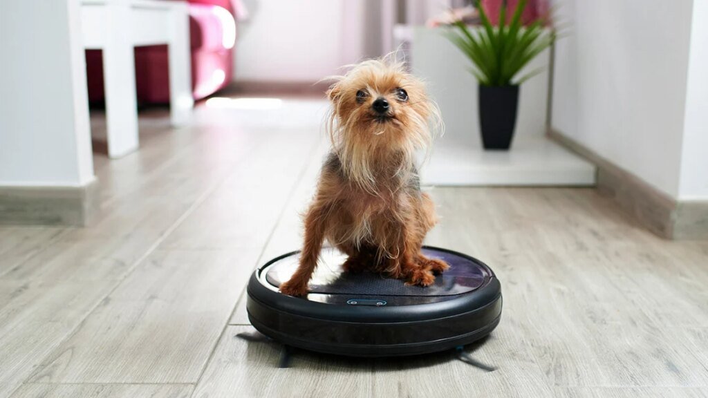 The Best Robot Vacuums We've Tested for Pet Hair in 2026