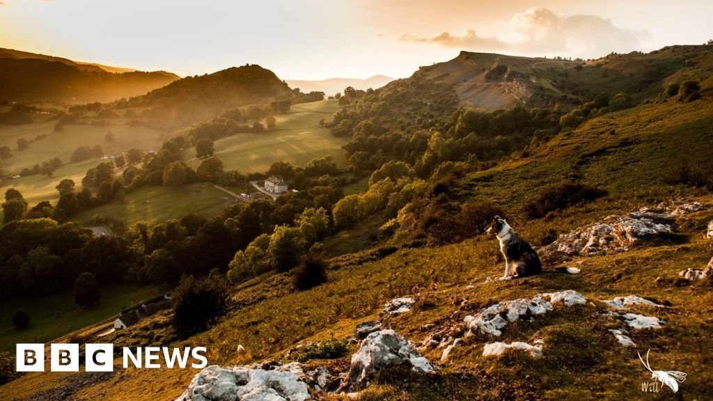 UK's latest nationwide park – an enormous alternative or a waste of cash? UK's newest national park - a huge opportunity or a waste of money?