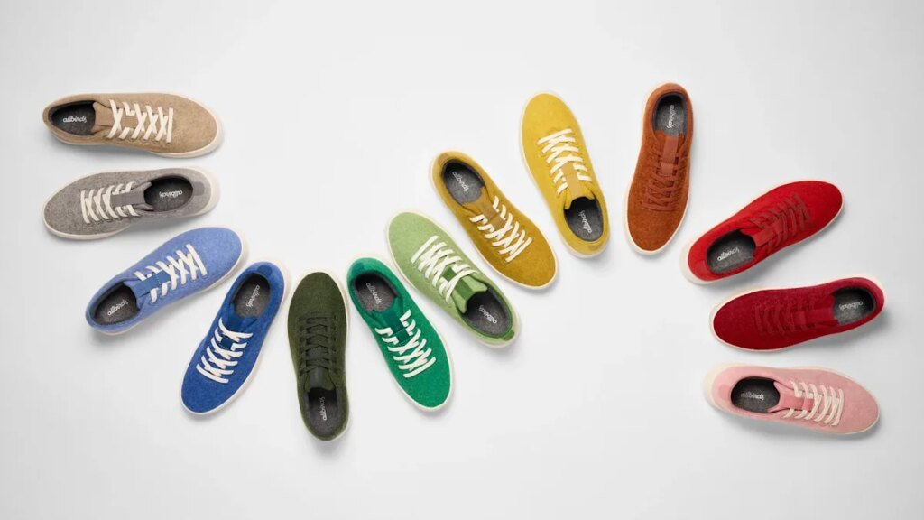 Allbirds goes from shoes to AI