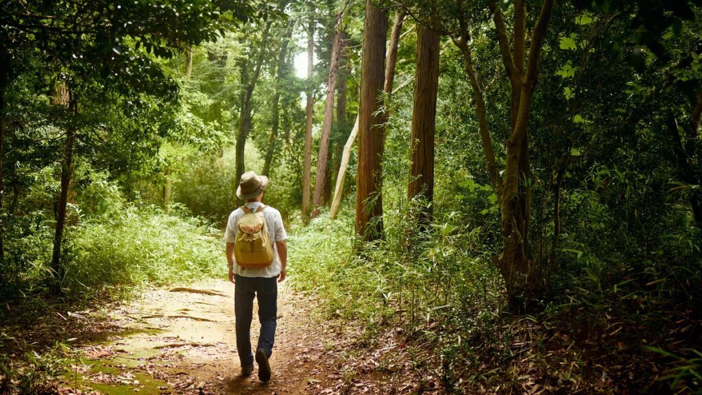 A person walking in a heavily wooded area.