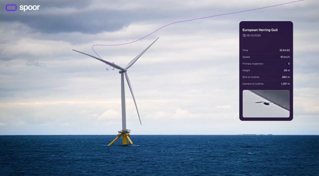 How Spoor uses AI to track birds and improve wind farm planning