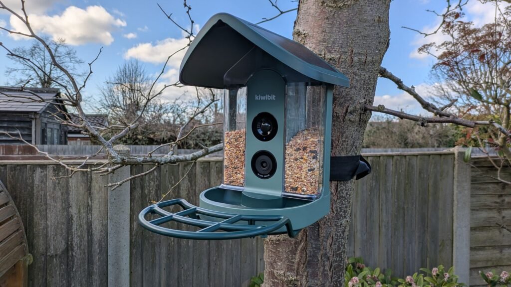 I simply arrange the Kiwibit Beako good hen feeder in my yard — here is my first impressions I just set up the Kiwibit Beako smart bird feeder in my yard — here's my first impressions