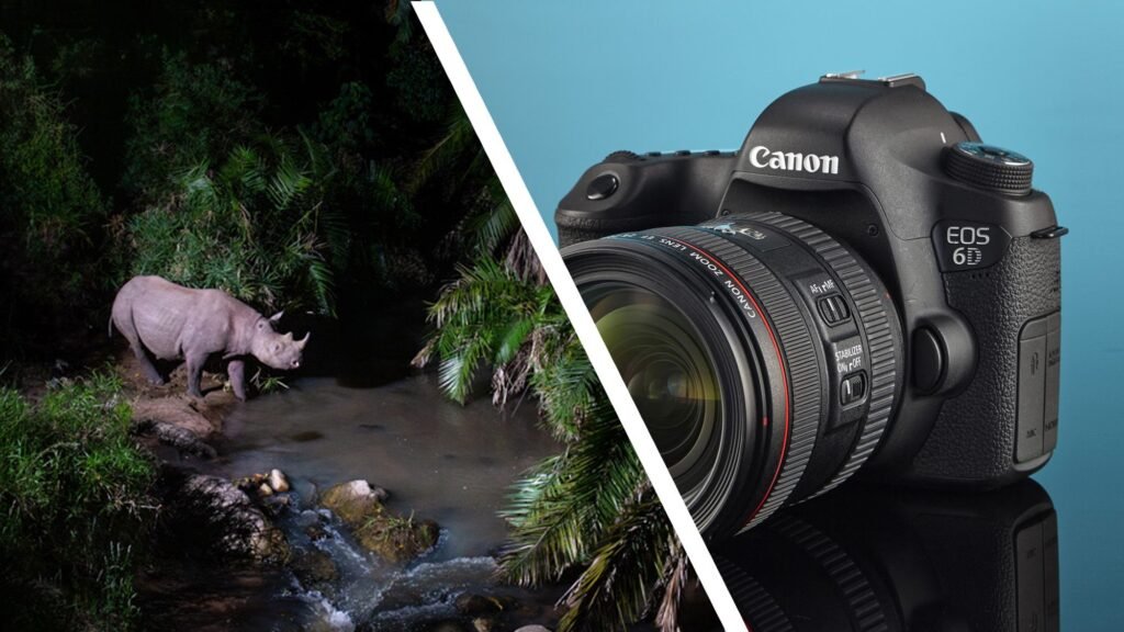 'I snap them up' — award-winning wildlife photographer explains why he collects second-hand DSLRs for his unique 'Camtraptions' devices, and why they are a better choice over modern mirrorless cameras
