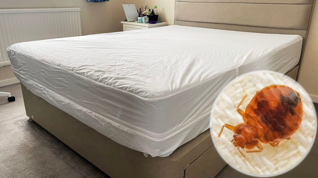 A photo of the Linenspa Mattress Encasement on a mattress on a bed frame in our reviewer's bedroom. In the bottom left corner is an ident showing a close up of a bed bug