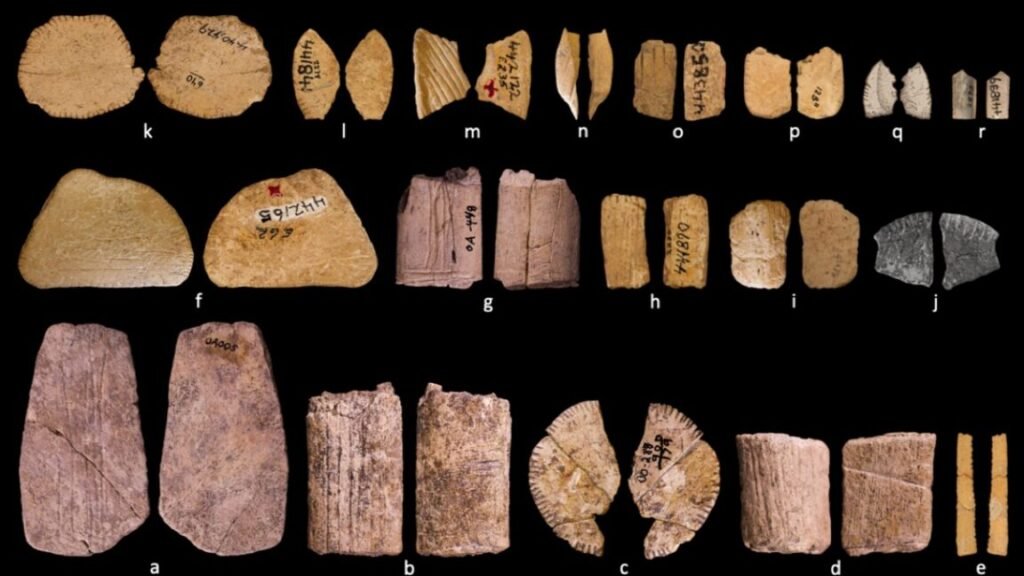 Ice Age cube present early Native Individuals could have understood likelihood Early examples of Native American dice