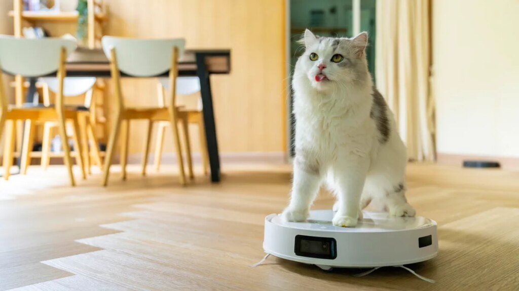 A cat on a robot vacuum in a dining room.