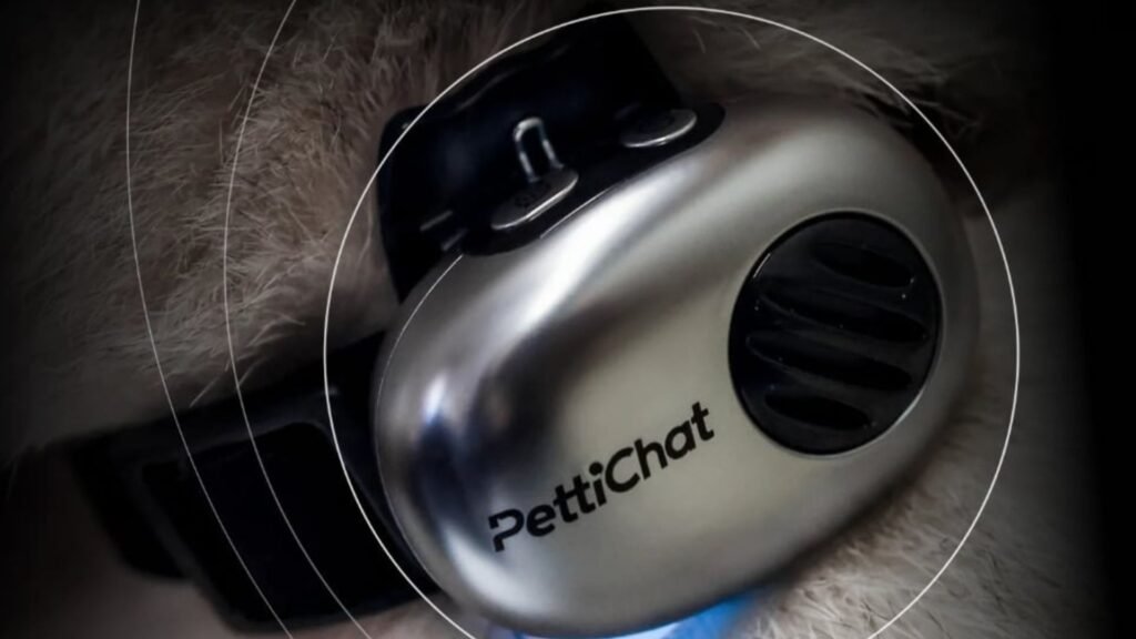 Now you can get an AI translator to your pet – sure, actually You can now get an AI translator for your pet – yes, really