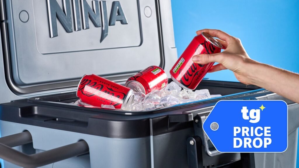 13 best cooler deals for summer, with up to 51% off Yeti, Ninja, Stanley, Coleman and Igloo