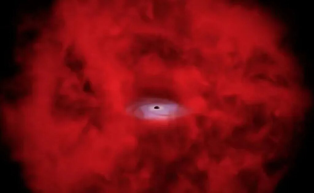 James Webb Space Telescope Little Red Dots May Reveal Birth of Black Holes