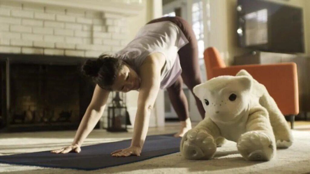 familiar machines and magic robot pet does yoga with its human owner
