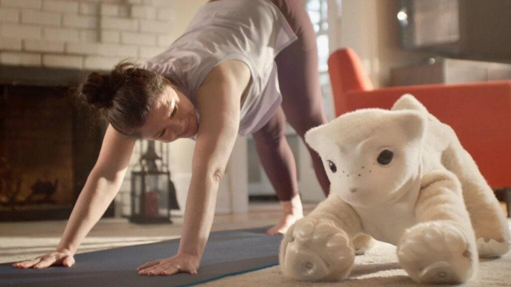 Roomba inventor unveils a companion robot that's more pet than helper