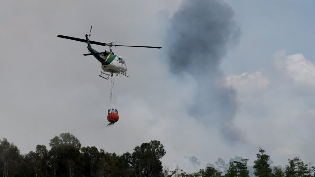Trump administration’s new wildfire company preps for hearth season : NPR Trump administration’s new wildfire agency preps for fire season : NPR